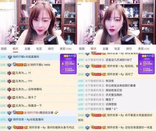 东北主播爆料视频下载,热门爆料视频幕后下载攻略 第1张 东北主播爆料视频下载,热门爆料视频幕后下载攻略 第1张